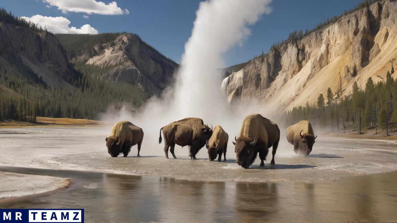 Funny Yellowstone Trivia Team Names