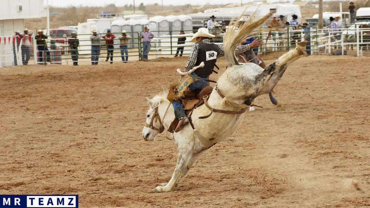 How To Choose The Perfect Rodeo Team Name